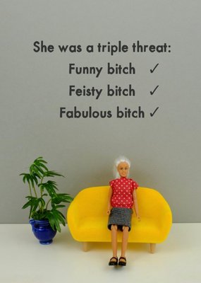 Bold And Bright Funny Photo Image Feisty Bitch Birthdays Card 