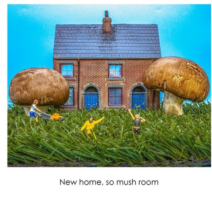 Totie Photies Funny Photographic Mushroom New Home Card