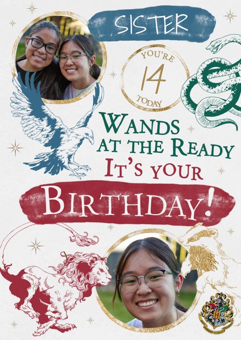 Harry Potter Wands At The Ready Photo Upload Birthday Card