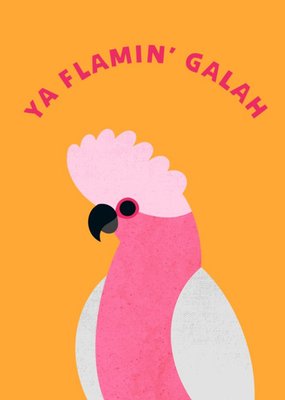 Ya Flaming Galah Bright Fun Cockatoo Greetings Card