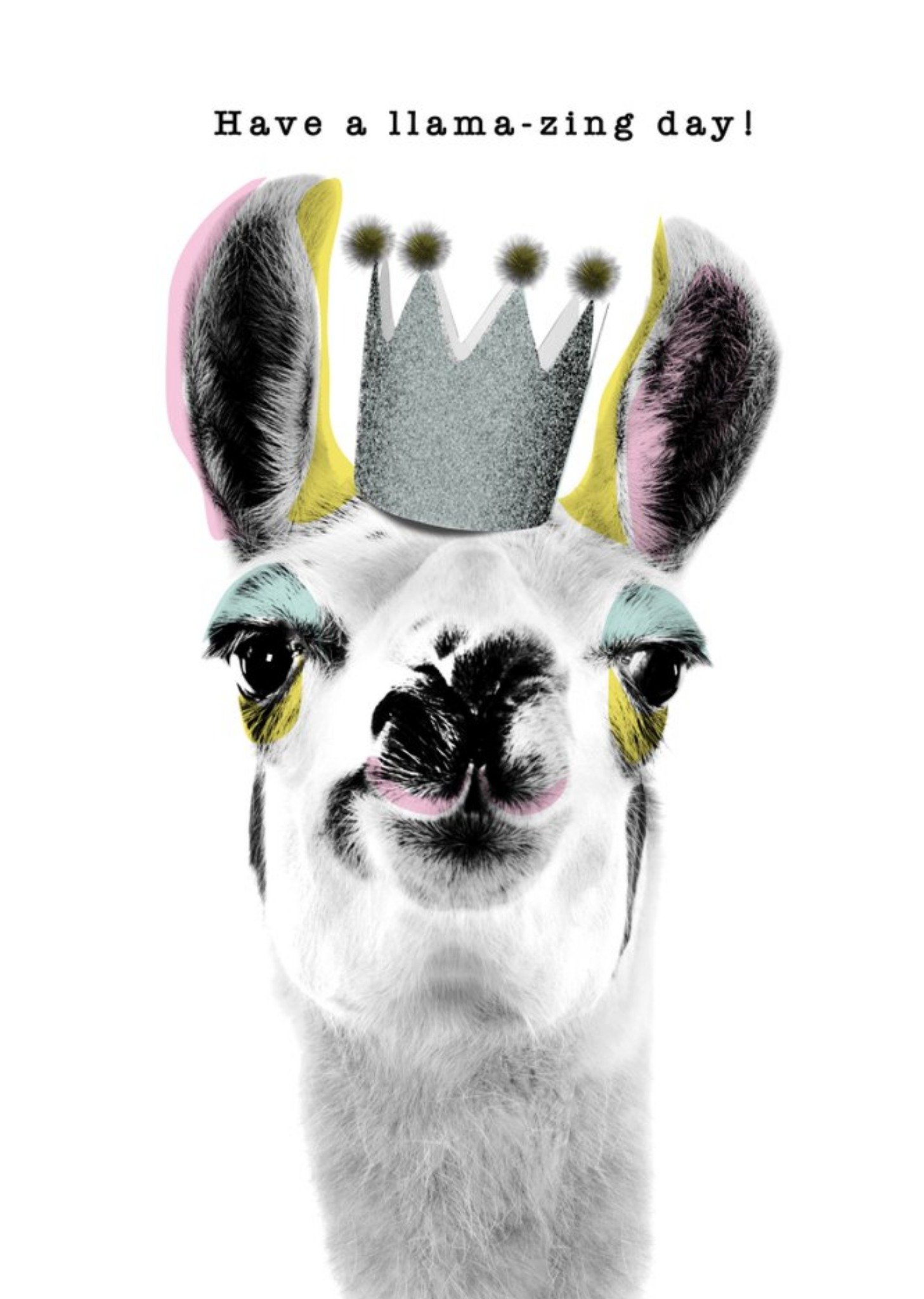 Modern Design Have A Llama Zing Day Card Ecard