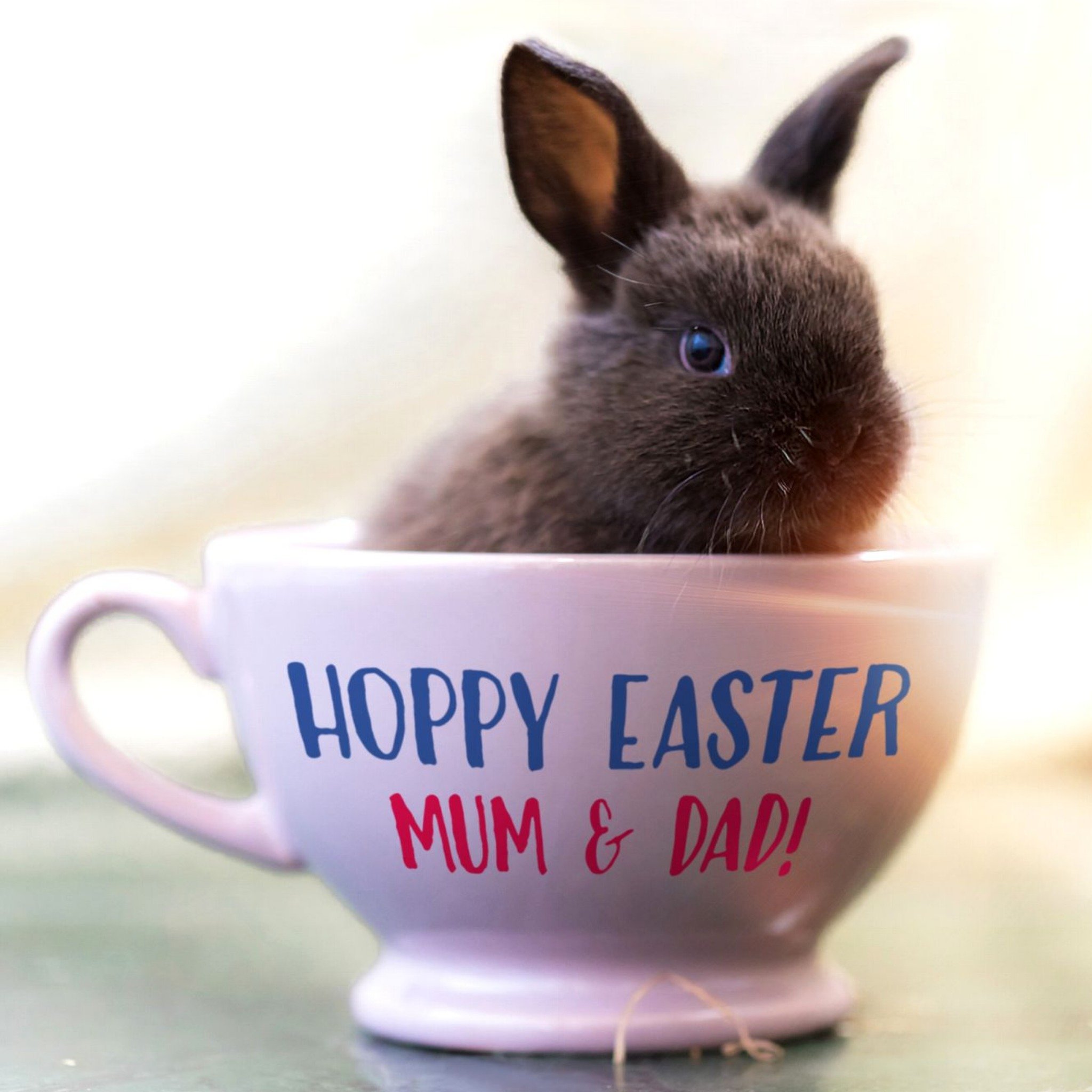 Bunny In A Teacup Happy Easter Card, Square