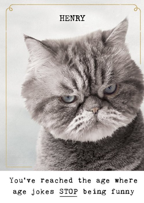 Humorous Photographic Grumpy Cat Birthday Card