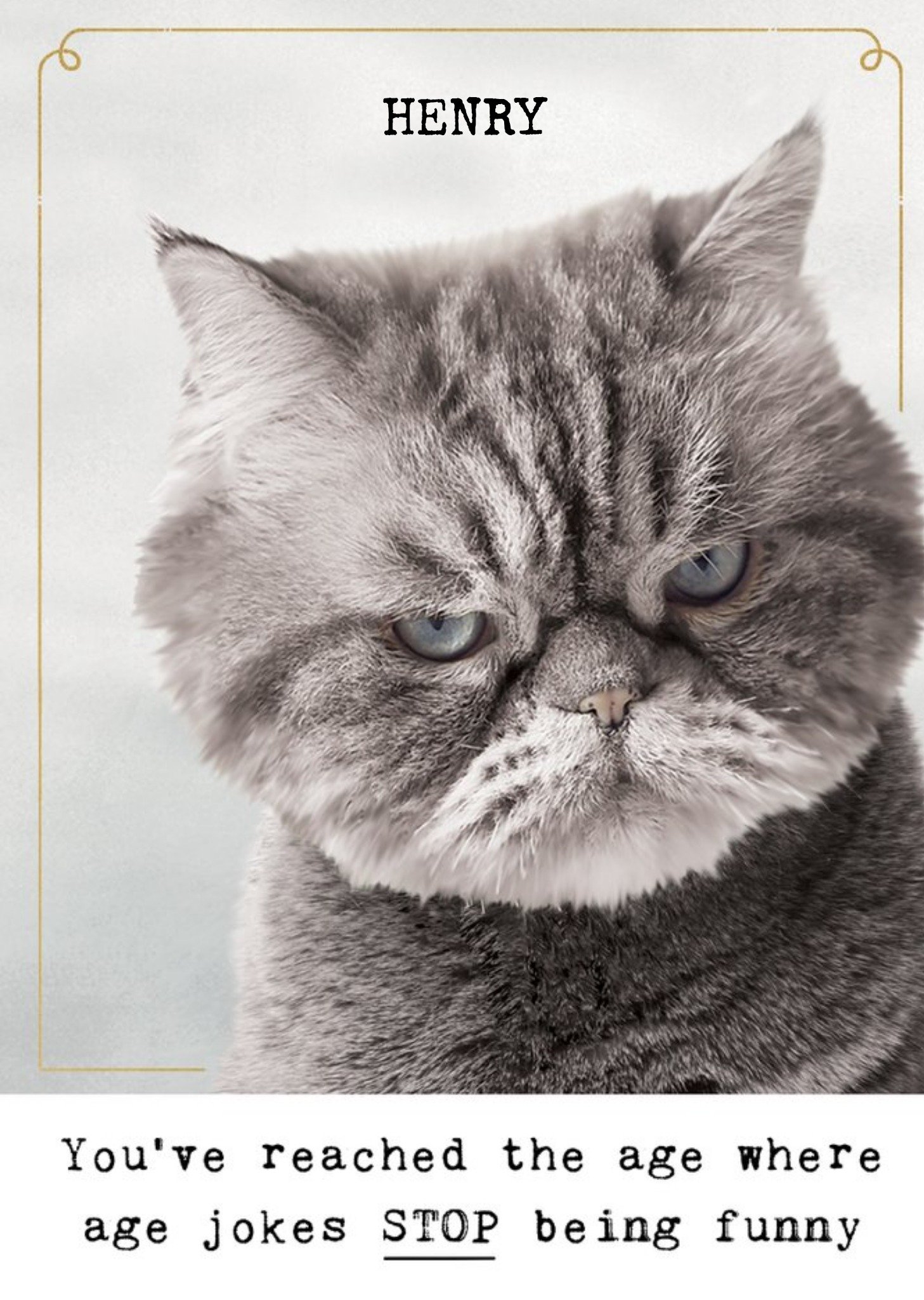 Moonpig Humorous Photographic Grumpy Cat Birthday Card, Large