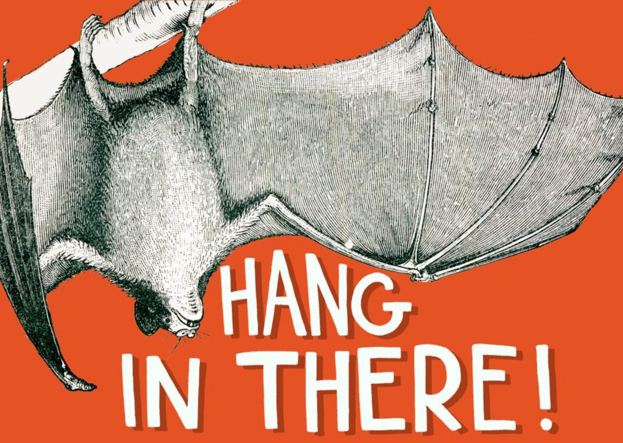 Thinking Of You Card - Bat Illustration Ecard