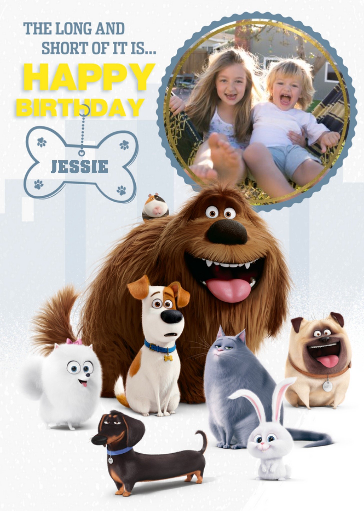 Moonpig Universal Secret Life Of Pets Photo Upload Birthday Card, Large
