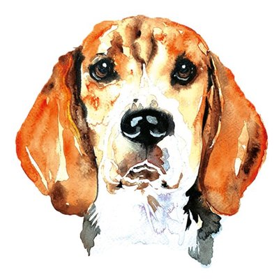 Illustrated Watercolour Dog Beagle Just A Note Card