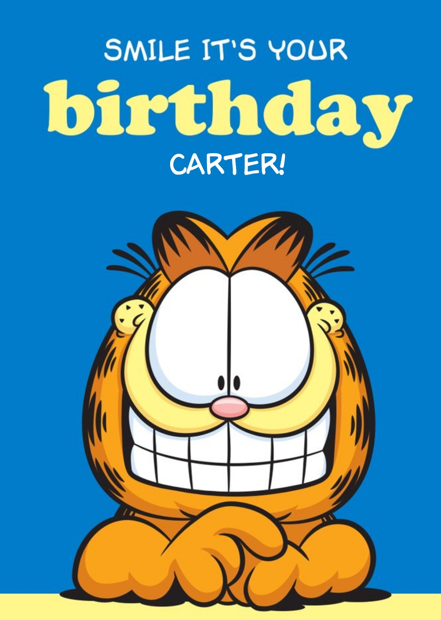 Nickelodeon Garfield Smile It's Your Birthday Card Ecard