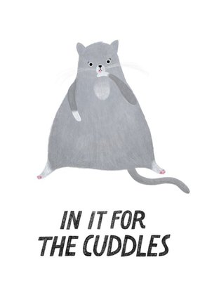 Cat Cuddles Cute Funny Card