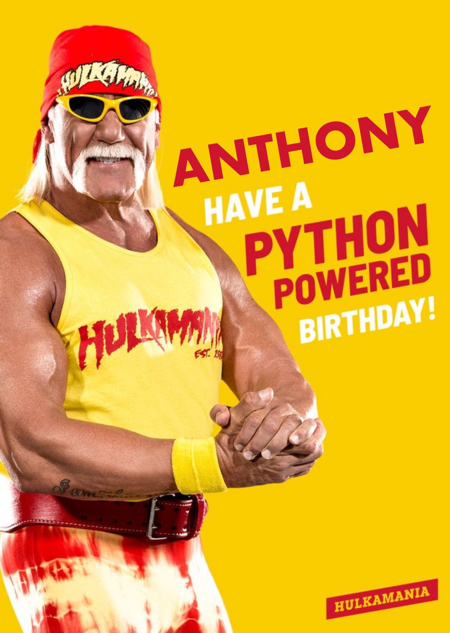 Wwe Hulkmania Have A Python Powered Birthday Card, Large