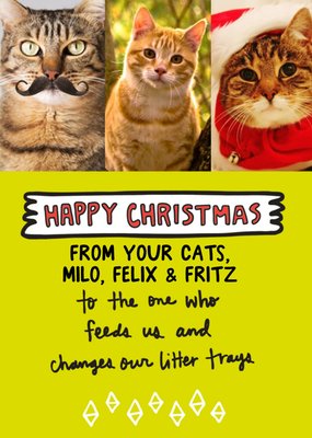 Happy Christmas From The Cats Photo Upload Card