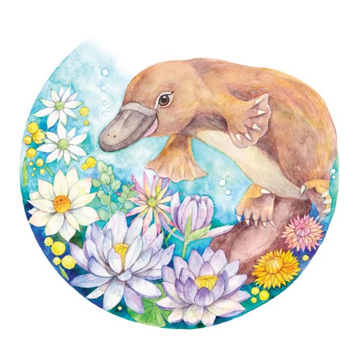 Watercolour By Cat Koala Floral Just A Note Card