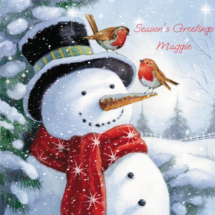 Snowman and Two Robins - Christmas Card