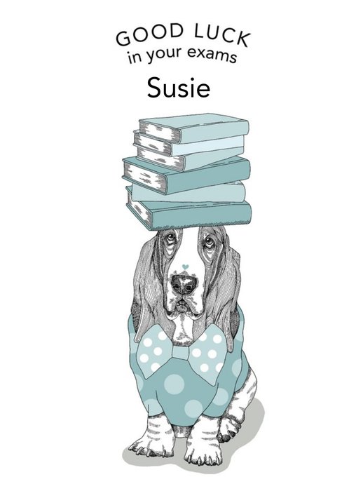 Dotty Dog Art Illustrated Basset Hound Dog Exams Good Luck Card