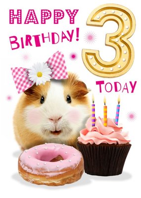 Cute Guinea Pig With Cupcake 3rd Birthday Card