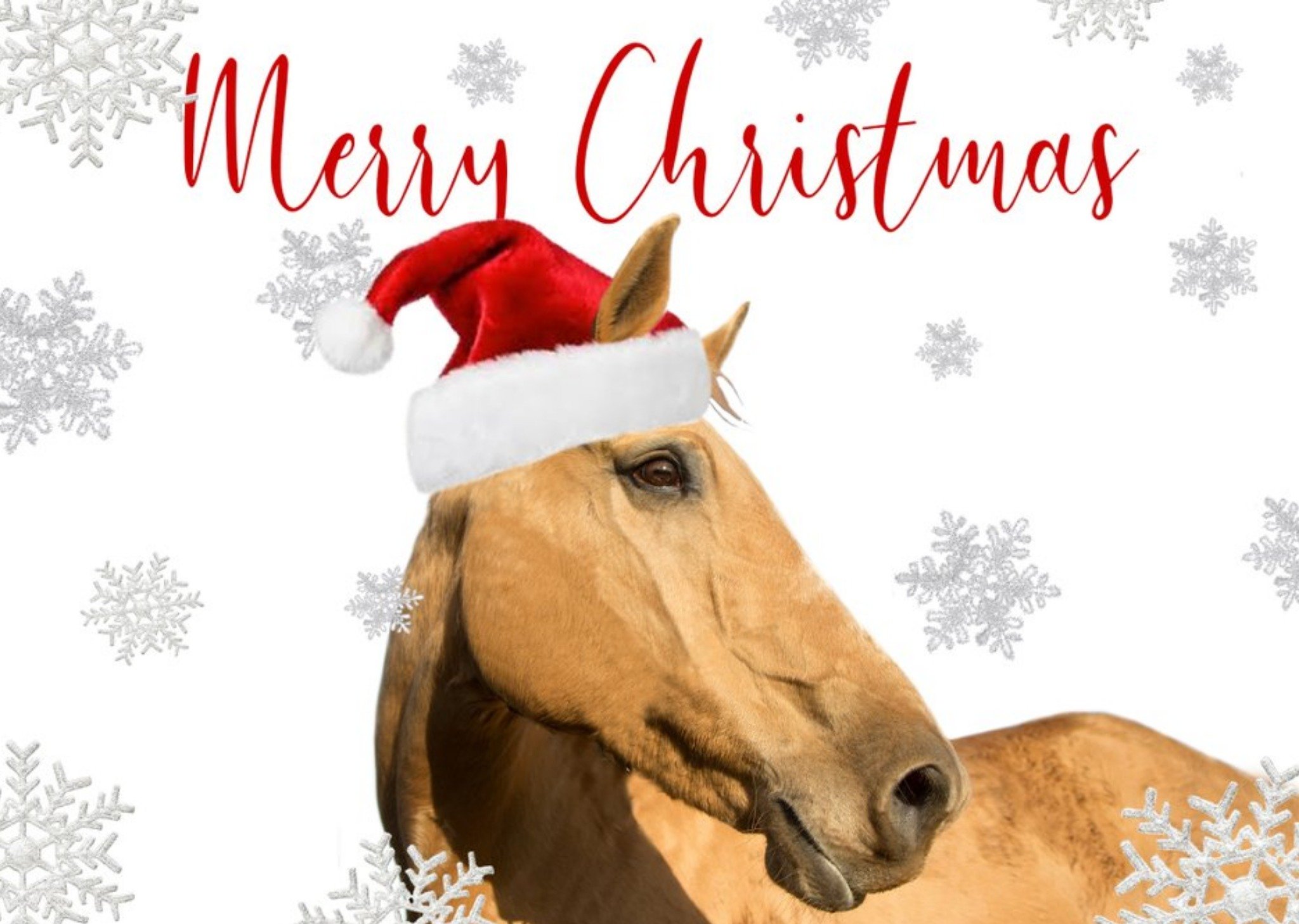 Moonpig Photo Of Horse Merry Christmas Card, Large