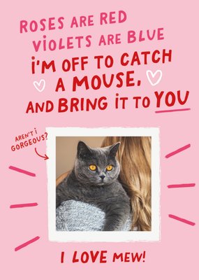 Funny I'm Off To Catch A Mouse From the Cat Photo Upload Valentine's Day Card