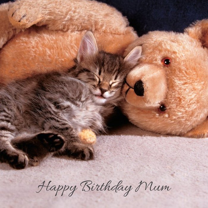 Snuggling Teddy Bear And Cat Happy Birthday Mum Card