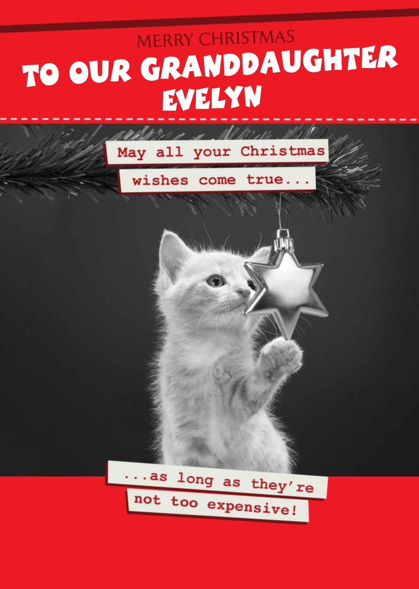 Merry Christmas To Our Granddaughter Ecard