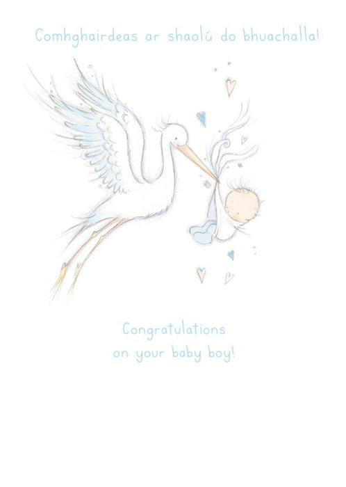 Stork Carrying Baby Illustration New Baby Boy Card