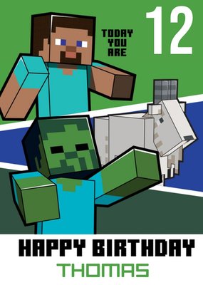 Minecraft 12th Birthday Card