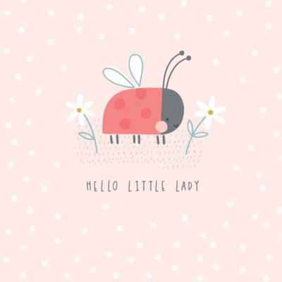 Cute Illustration Of A Ladybird And Flowers On A Pink Speckly Background New Baby Card