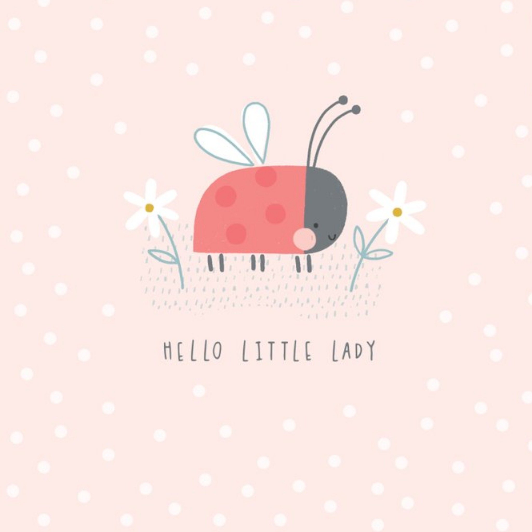 Cute Illustration Of A Ladybird And Flowers On A Pink Speckly Background New Baby Card, Square