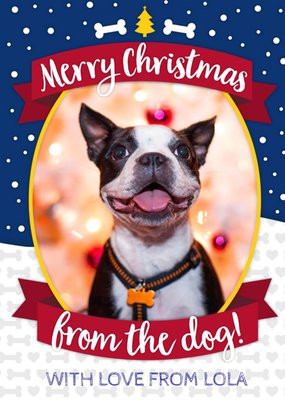 Merry Christmas From The Dog Photo Upload Card