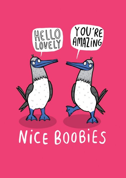 Hello Lovely Nice Boobies Funny Rude Card