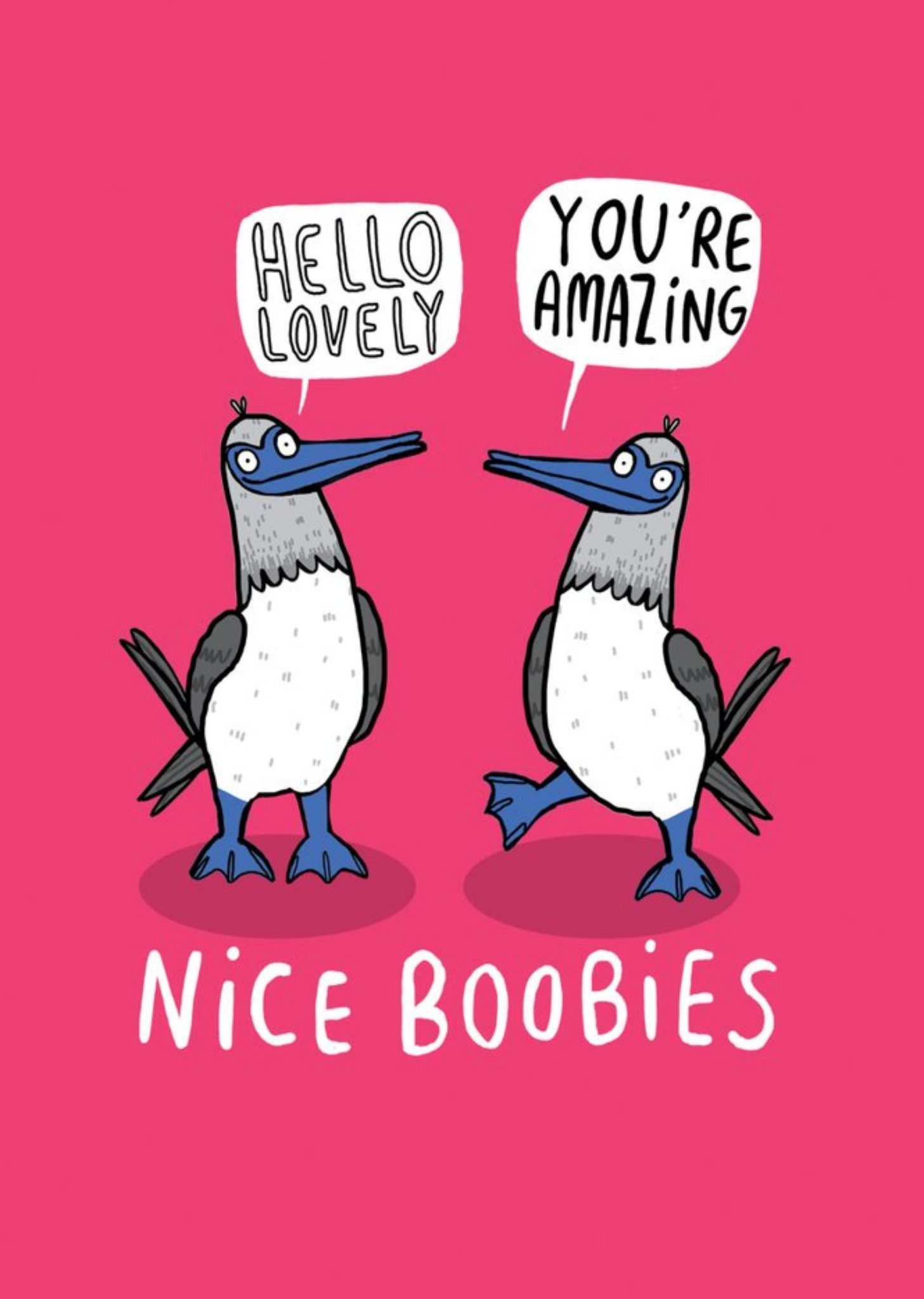 Hello Lovely Nice Boobies Funny Rude Card Ecard