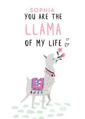 Personalised You Are The Llama Of My Life Funny Valentine's Day Card