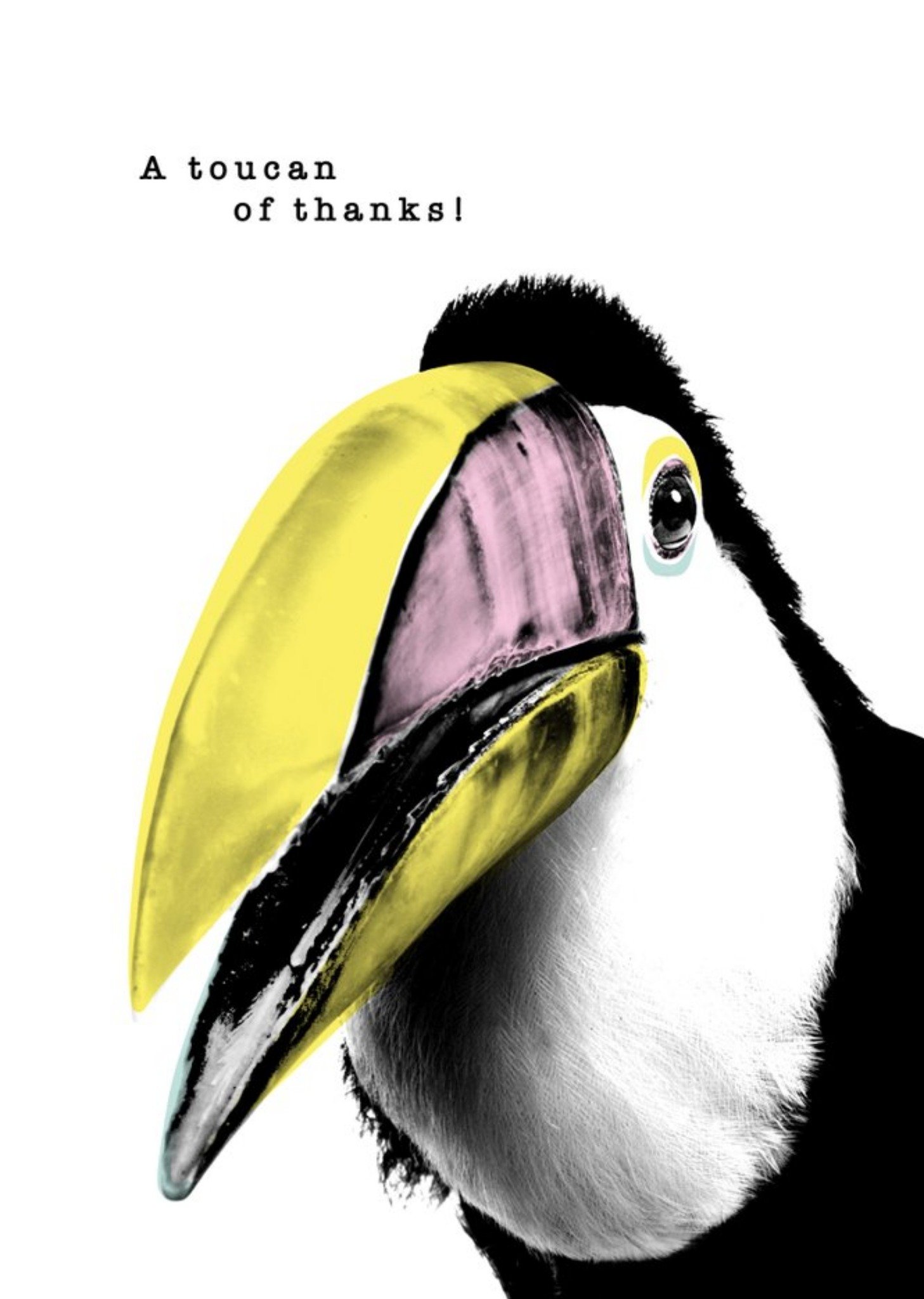 Modern Design A Toucan Of Thanks Card Ecard