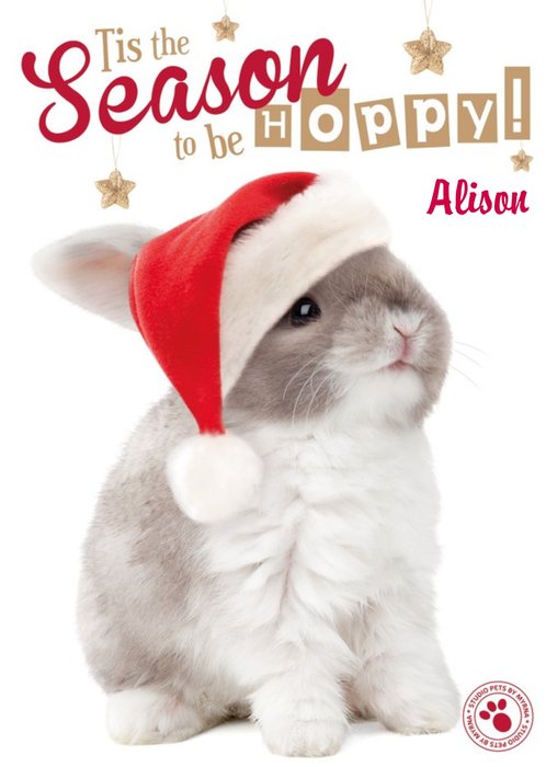 Tis The Season To Be Hoppy Bunny Rabbit Personalised Christmas Card