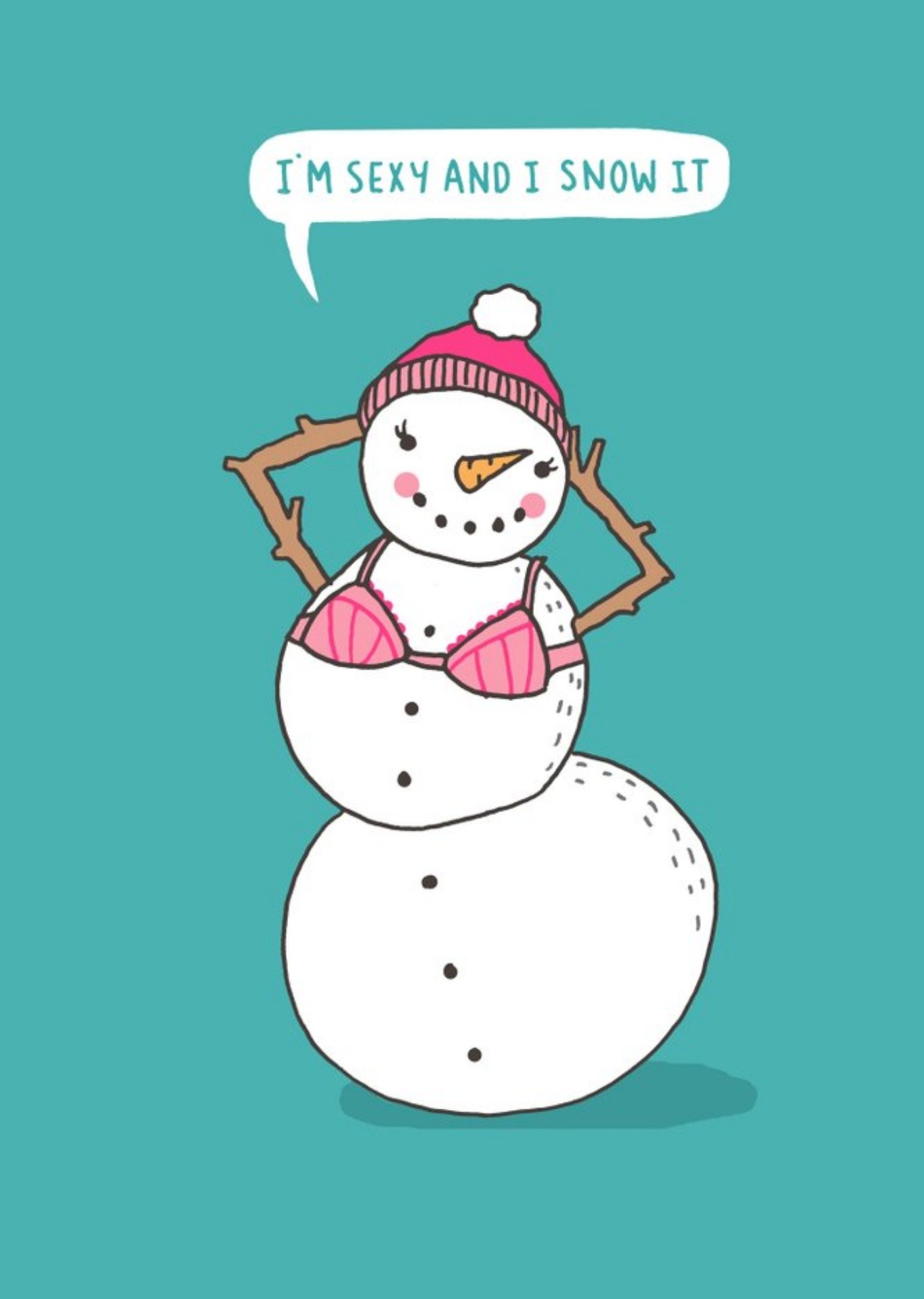 Funny Pun Im Sexy And I Snow It Card Ecard