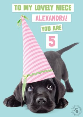 Studio Pets Birthday Card Labrador Puppy To My Lovely Niece