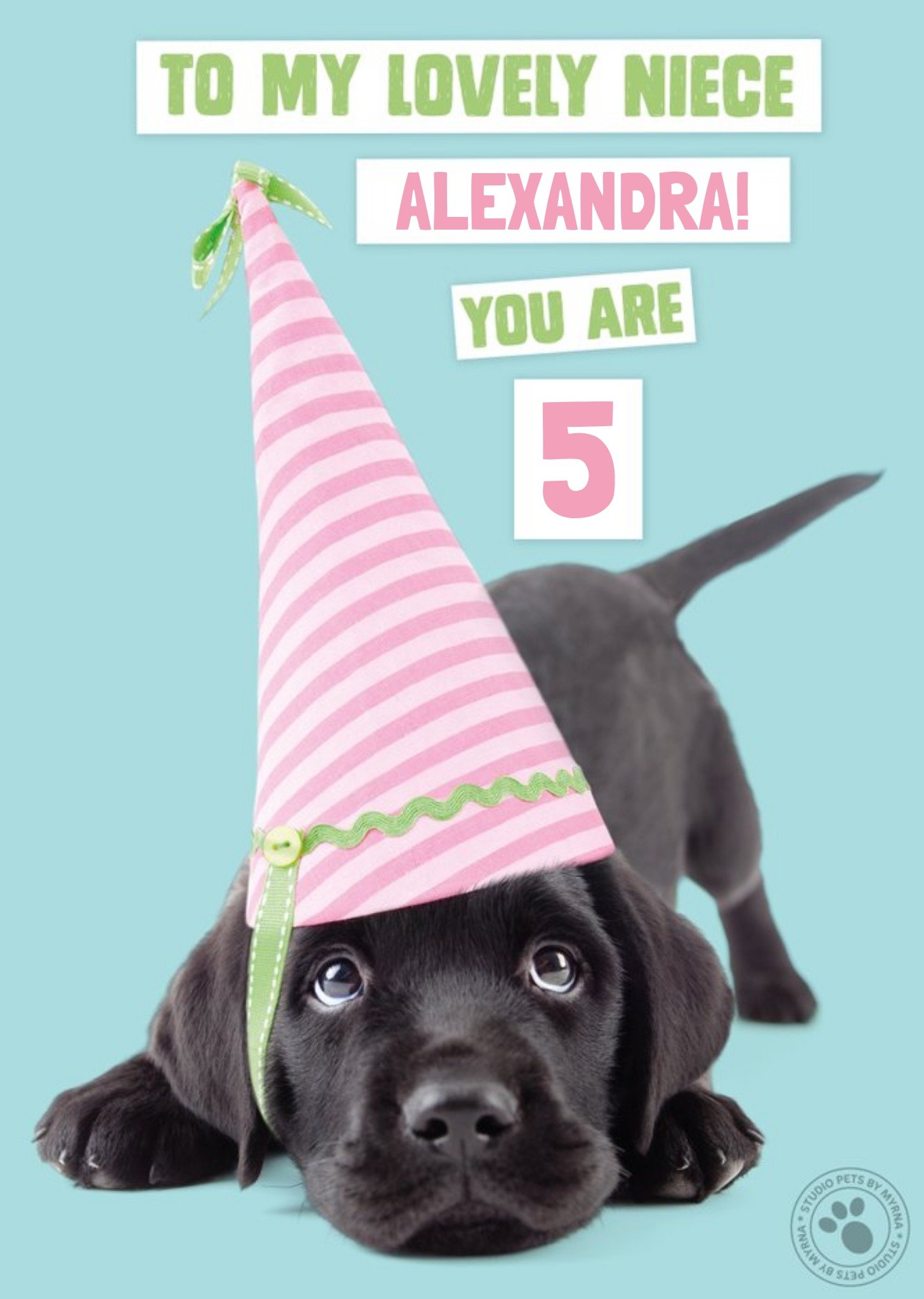 Studio Pets Birthday Card Labrador Puppy To My Lovely Niece, Large