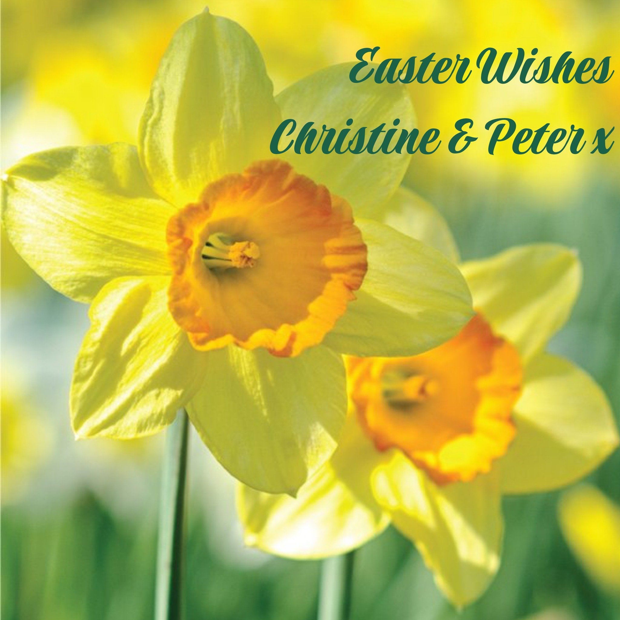 Ling Design Personalised Easter Wishes With Daffodils Card, Square