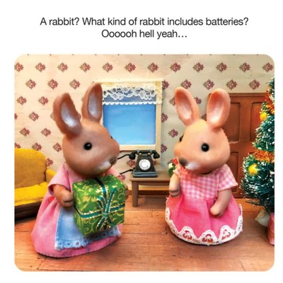 Funny What Kind Of Rabbit Includes Batteries Card