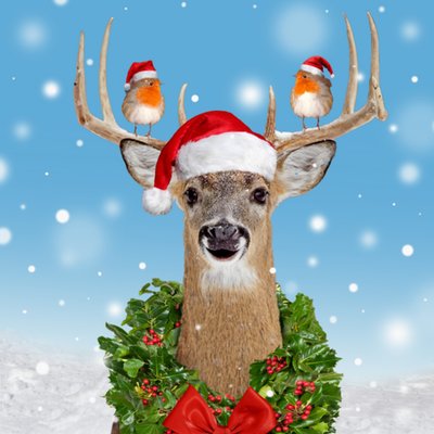 Reindeer And Robins Christmas Card