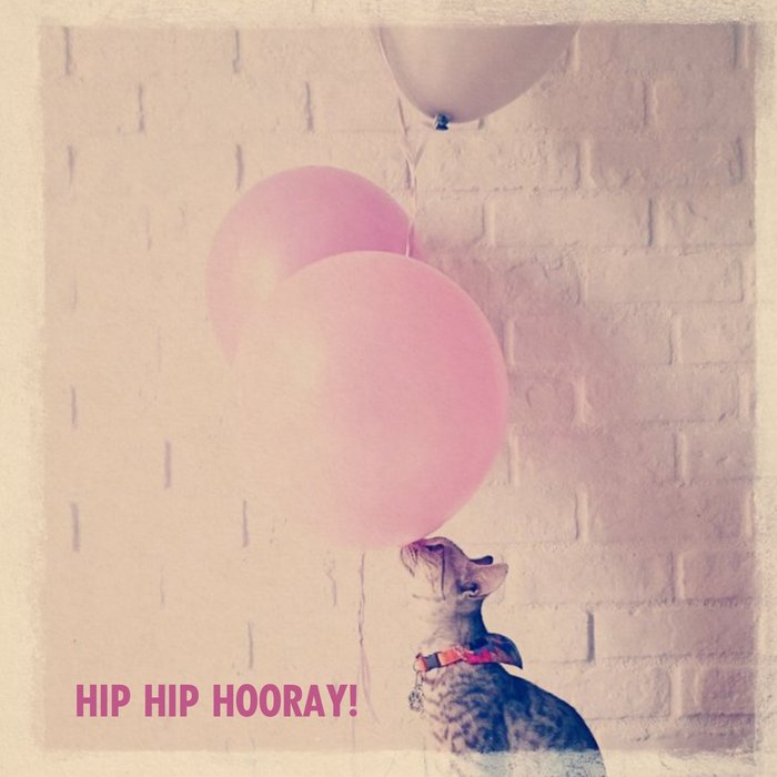 Hip Hip Hooray Cat And Balloons Personalised Birthday Card