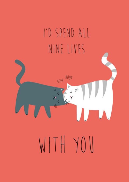 Cute Illustrated Cats 9 Lives Valentine's Day Card