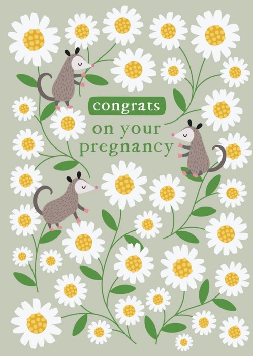 Cute Illustrated Floral Possum Congrats On Your Pregnancy Card