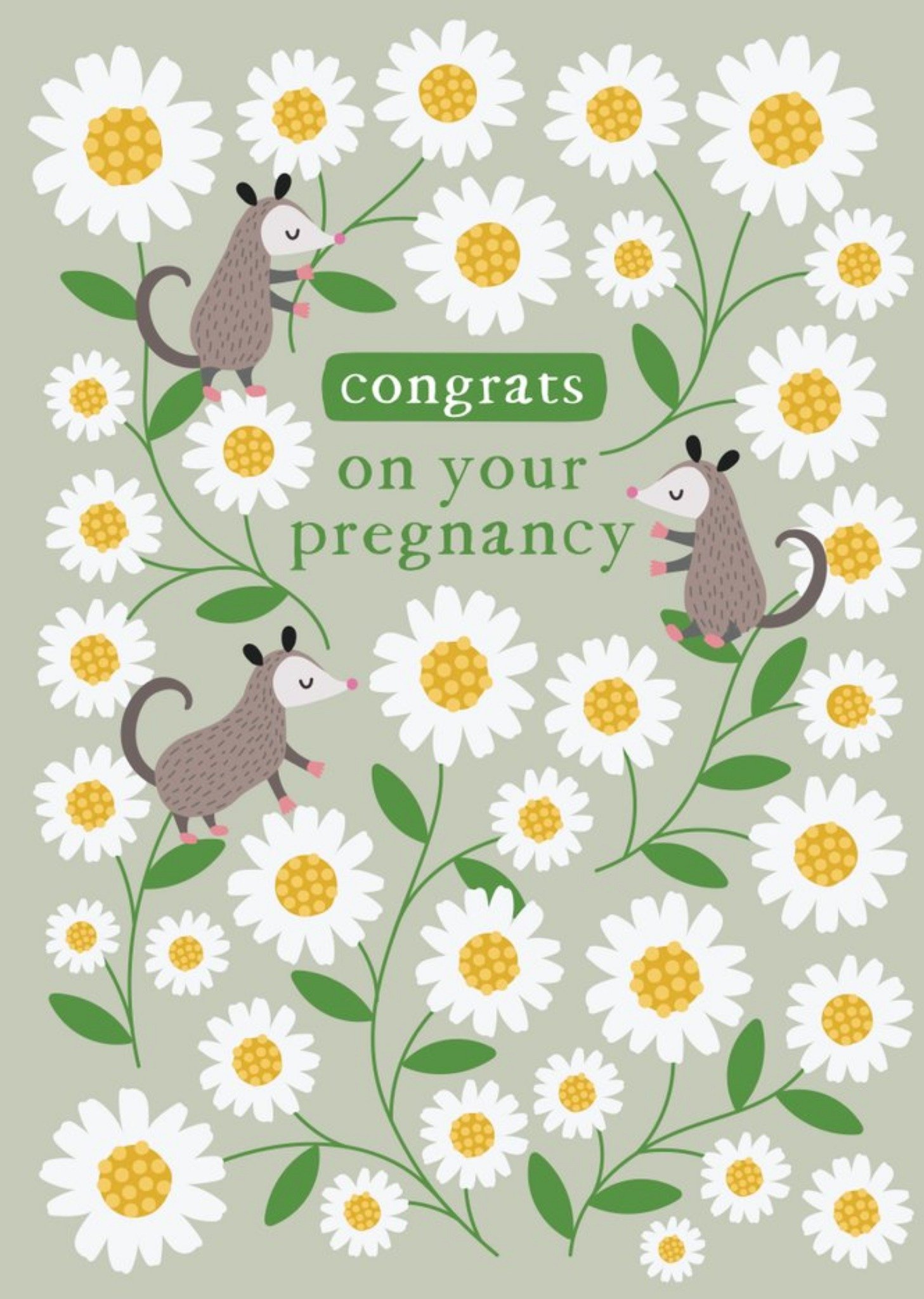 Cute Illustrated Floral Possum Congrats On Your Pregnancy Card Ecard