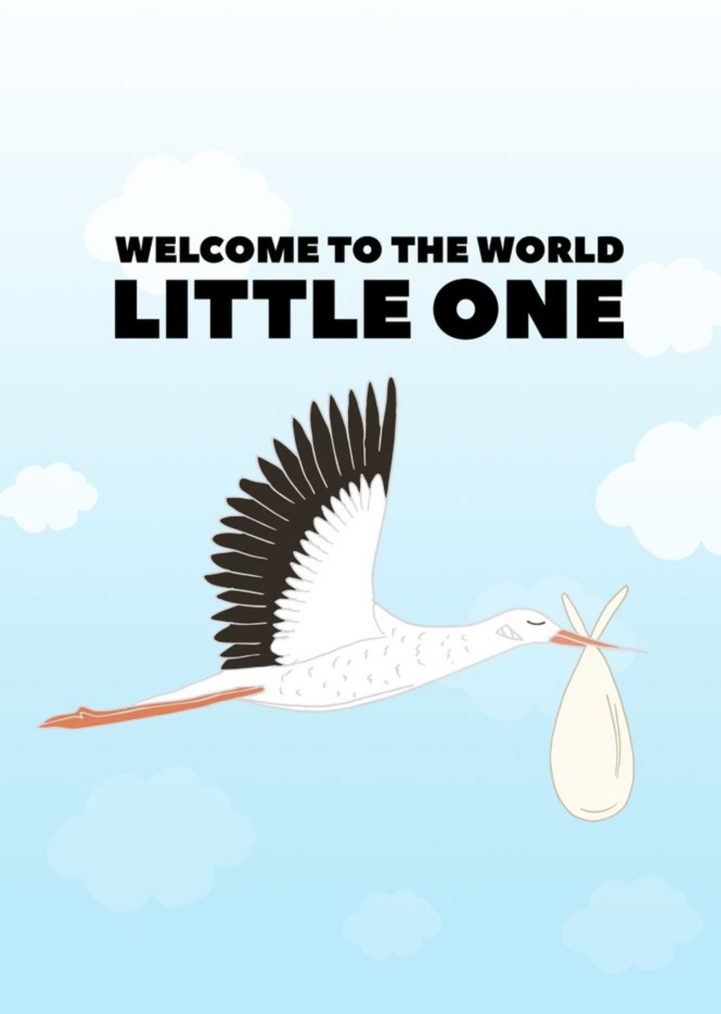 Moonpig Pearl And Ivy Illustrated Stork New Baby Welcome To The World Card, Large