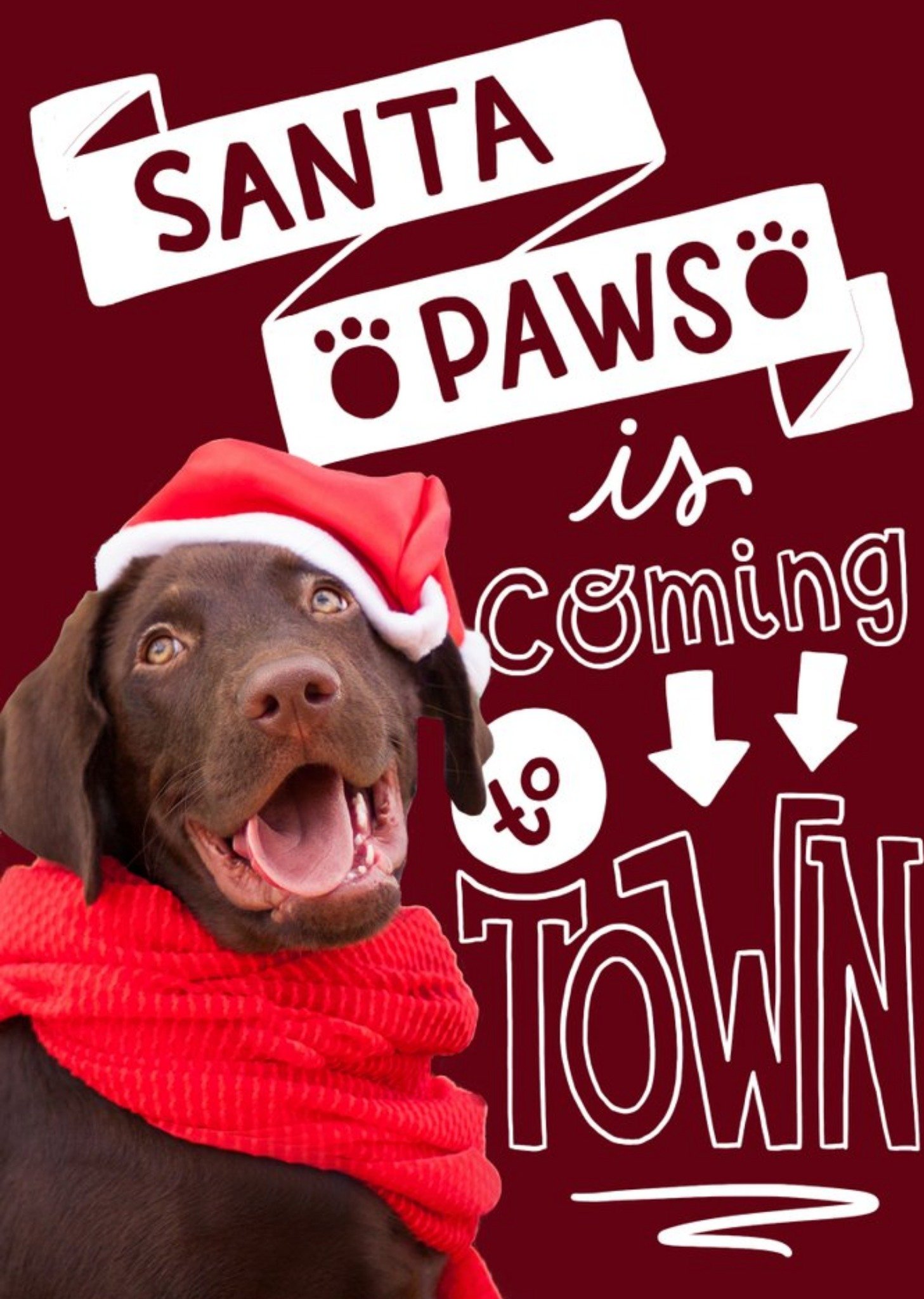 Santa Paws Is Coming Christmas Greetings Card Ecard