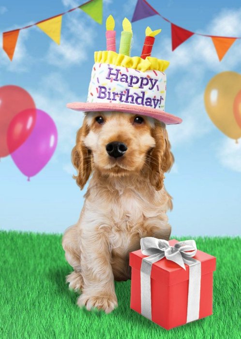 Happy Birthday Cute Dog Gift Card
