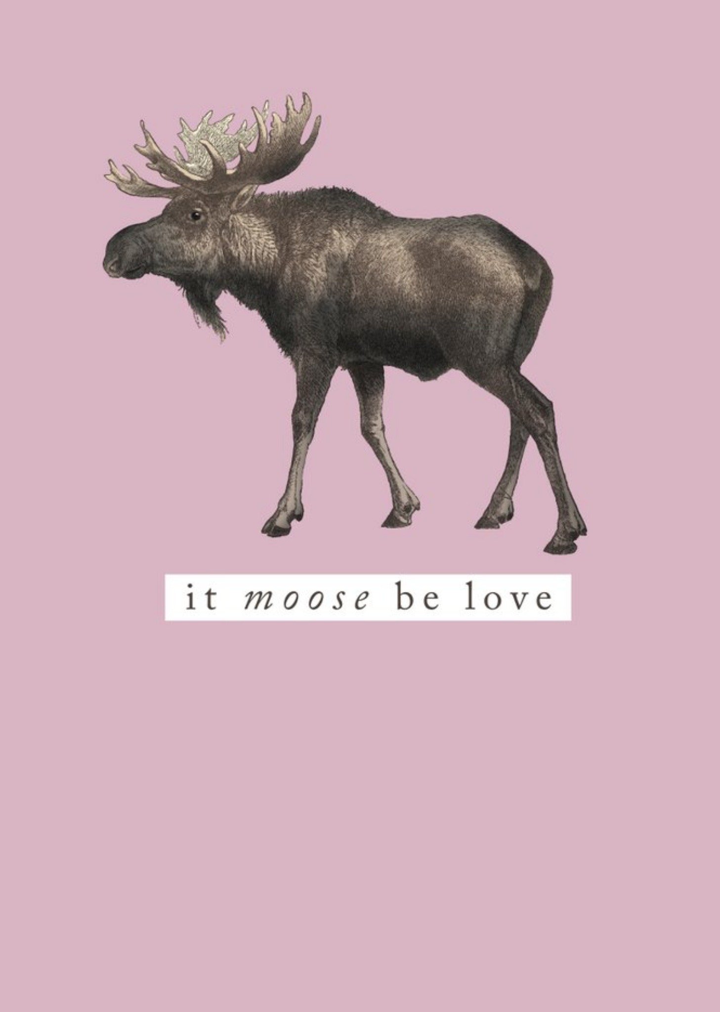 Moonpig Pastel Pink It Moose Be Love Romantic Card, Large