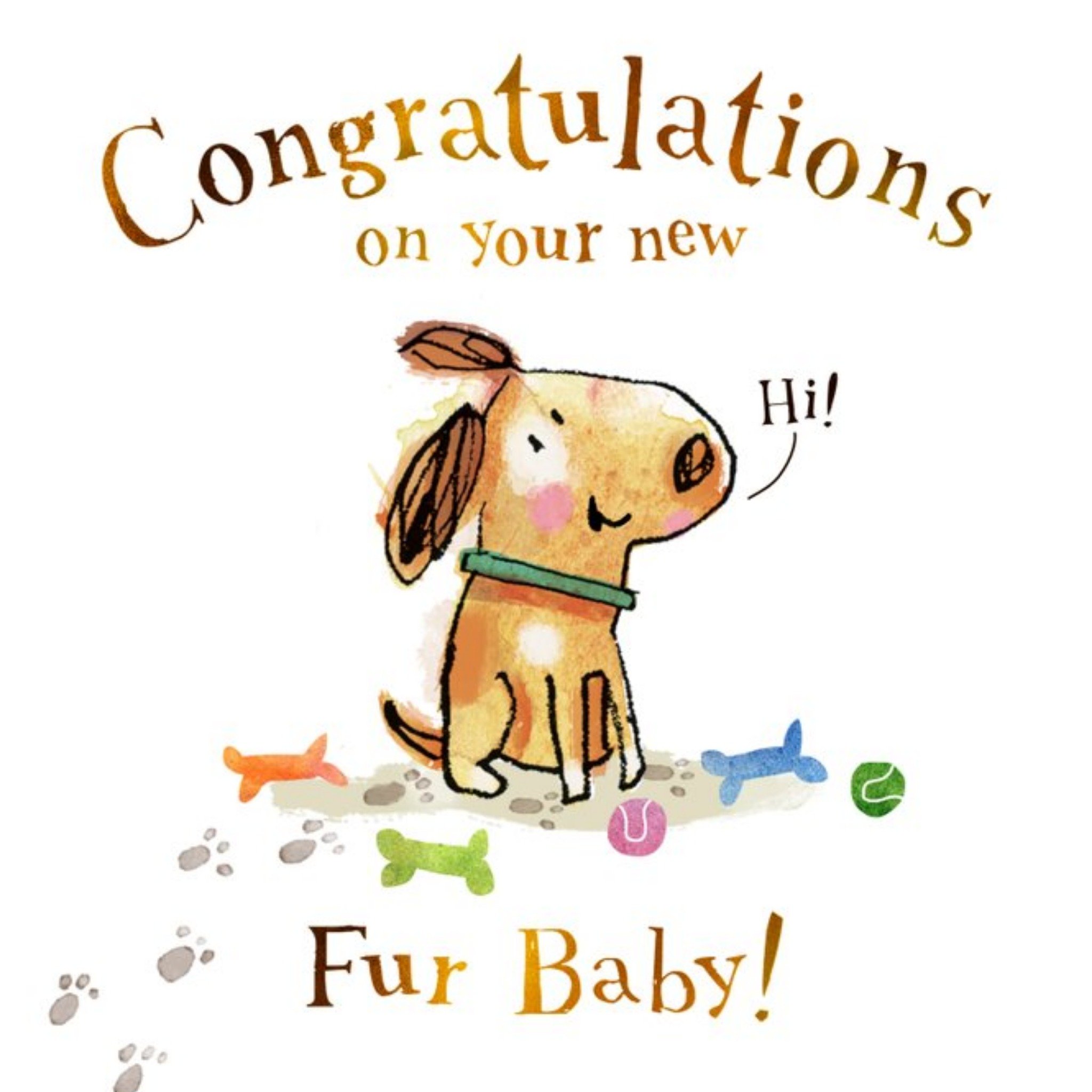 Cute Congratulations On Your Fur Baby Card, Square