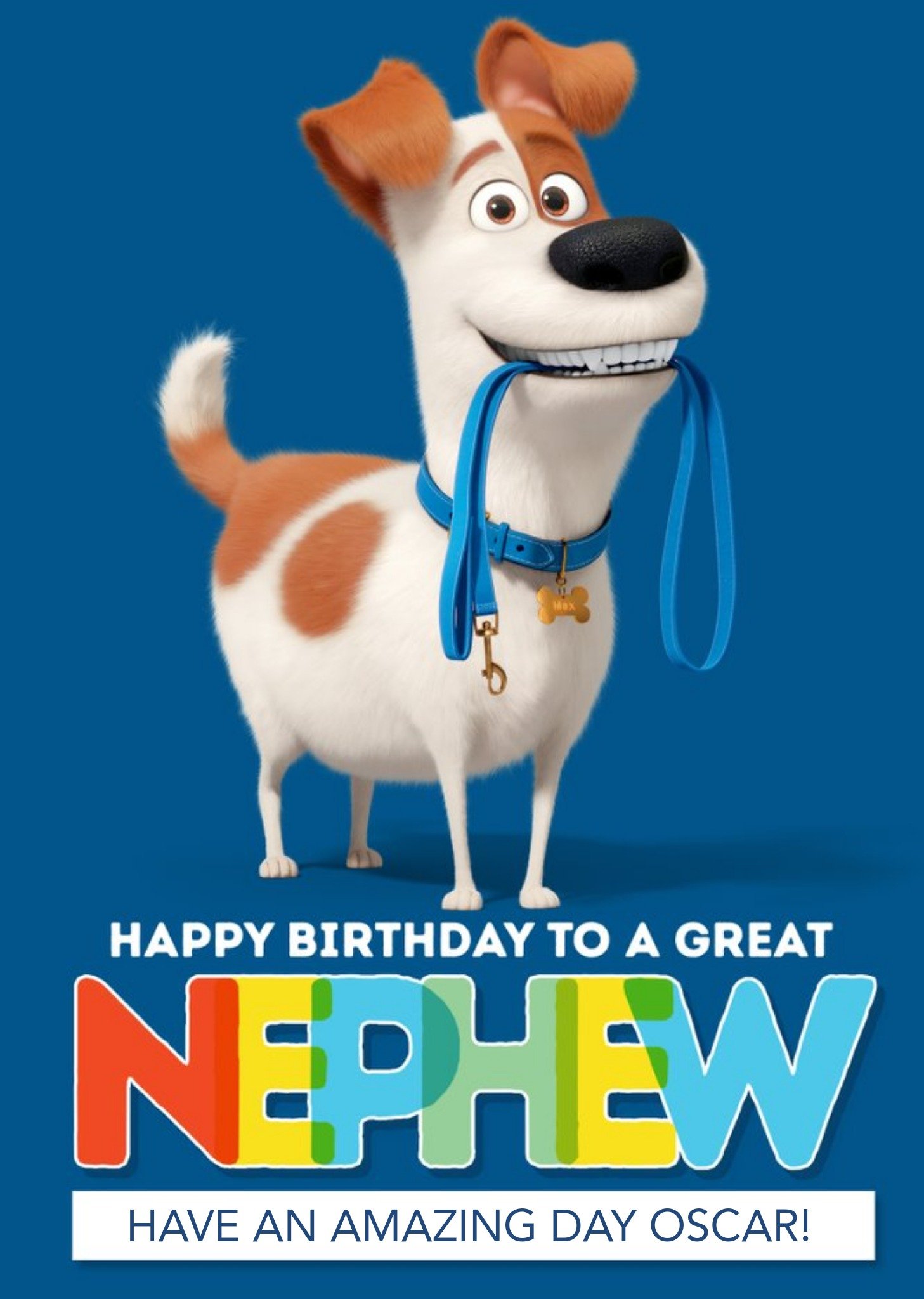 Moonpig Universal Secret Life Of Pets 2 Happy Birthday Nephew Card Featuring Max, Large