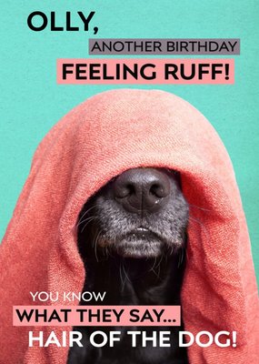 Birthday Card - Photo Humour - Animal Antics - Hair Of The Dog